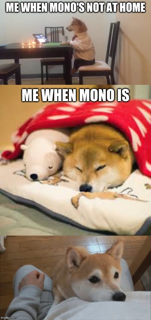 ME WHEN MONO'S NOT AT HOME; ME WHEN MONO IS | made w/ Imgflip meme maker