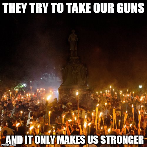 no arrests no shots fired no crime | THEY TRY TO TAKE OUR GUNS; AND IT ONLY MAKES US STRONGER | image tagged in gun rights,gun rally | made w/ Imgflip meme maker