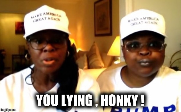 Racist Trump Supporters | YOU LYING , HONKY ! | image tagged in racist trump supporters | made w/ Imgflip meme maker