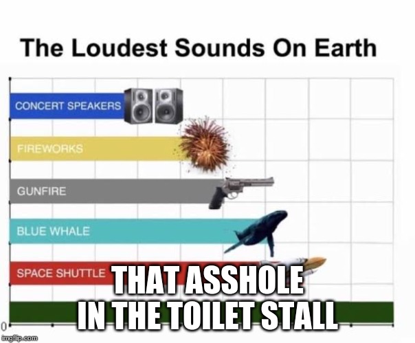 The Loudest Sounds on Earth | THAT ASSHOLE IN THE TOILET STALL | image tagged in the loudest sounds on earth | made w/ Imgflip meme maker