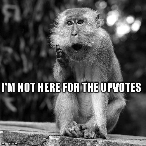Wise Monkey | I'M NOT HERE FOR THE UPVOTES | image tagged in wise monkey | made w/ Imgflip meme maker