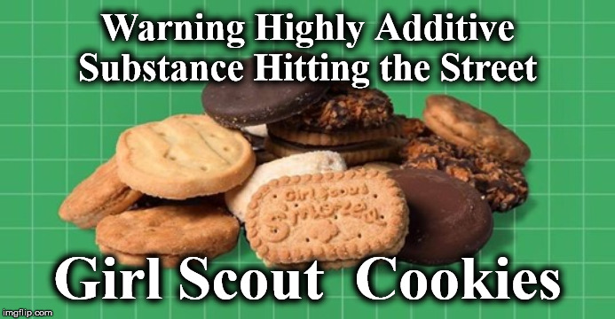 cookies | Warning Highly Additive Substance Hitting the Street; Girl Scout  Cookies | image tagged in cookies | made w/ Imgflip meme maker