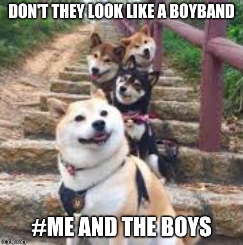 DON'T THEY LOOK LIKE A BOYBAND; #ME AND THE BOYS | made w/ Imgflip meme maker