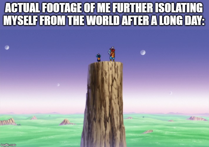 DBZ Standing on Pillar | ACTUAL FOOTAGE OF ME FURTHER ISOLATING MYSELF FROM THE WORLD AFTER A LONG DAY: | image tagged in dbz standing on pillar | made w/ Imgflip meme maker