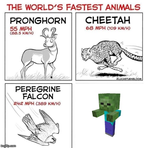 The world's fastest animals | image tagged in the world's fastest animals | made w/ Imgflip meme maker