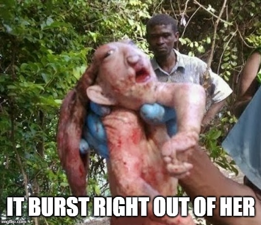 IT BURST RIGHT OUT OF HER | made w/ Imgflip meme maker