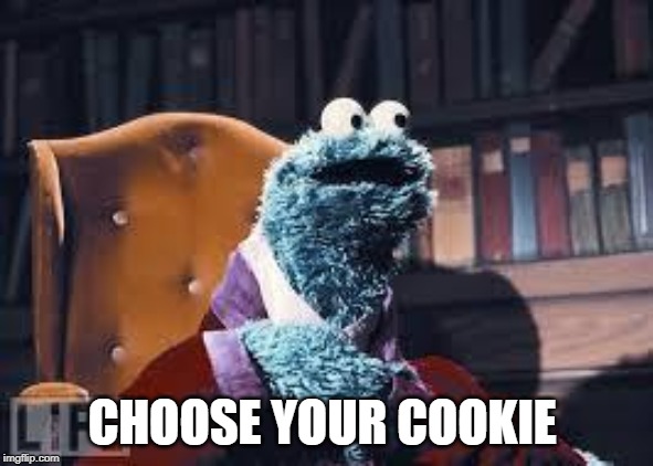 Cookie monster | CHOOSE YOUR COOKIE | image tagged in cookie monster | made w/ Imgflip meme maker