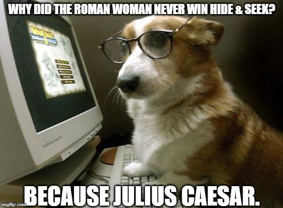 hide and seek | WHY DID THE ROMAN WOMAN NEVER WIN HIDE & SEEK? BECAUSE JULIUS CAESAR. | image tagged in smart dog,hide and seek,bad puns | made w/ Imgflip meme maker