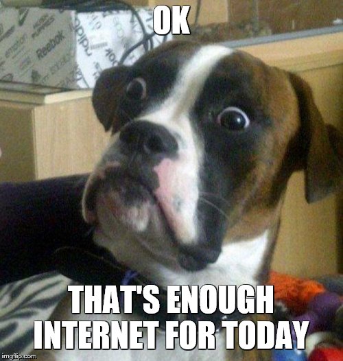 Scared dog | OK THAT'S ENOUGH INTERNET FOR TODAY | image tagged in scared dog | made w/ Imgflip meme maker
