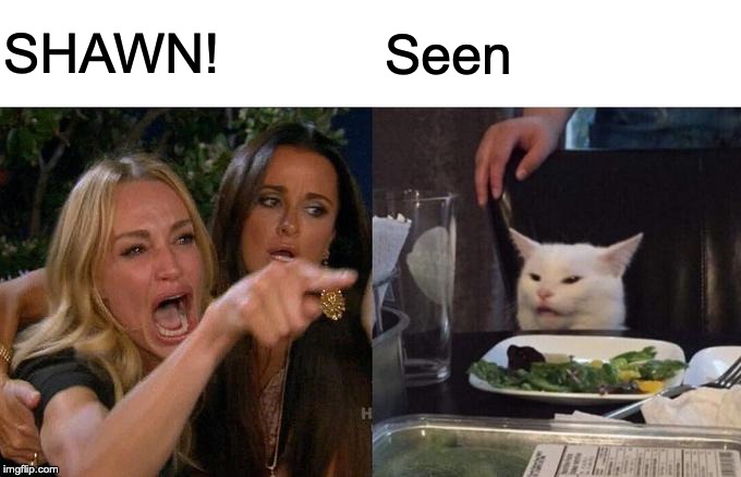 Woman Yelling At Cat | SHAWN! Seen | image tagged in memes,woman yelling at cat | made w/ Imgflip meme maker