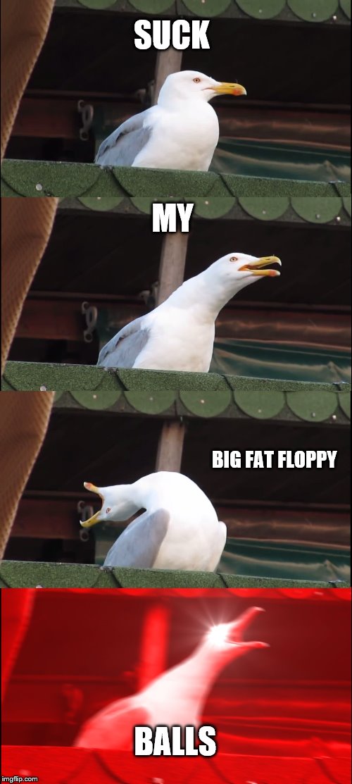 Inhaling Seagull | SUCK; MY; BIG FAT FLOPPY; BALLS | image tagged in memes,inhaling seagull | made w/ Imgflip meme maker