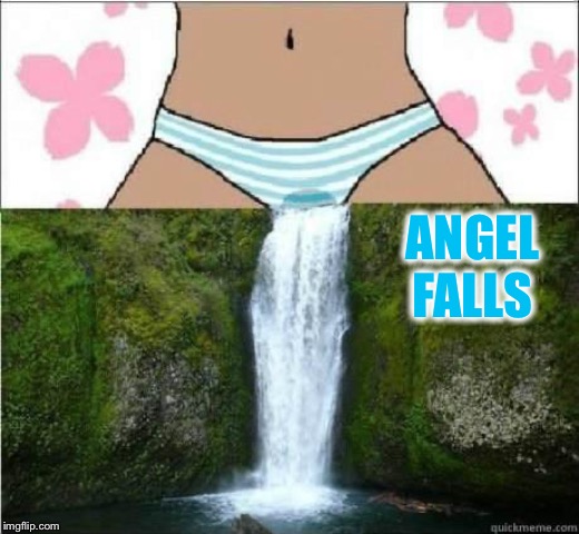 wet panties | ANGEL FALLS | image tagged in wet panties | made w/ Imgflip meme maker