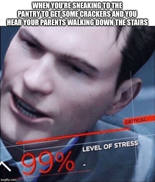 99% Level of Stress | WHEN YOU’RE SNEAKING TO THE PANTRY TO GET SOME CRACKERS AND YOU HEAR YOUR PARENTS WALKING DOWN THE STAIRS | image tagged in 99 level of stress | made w/ Imgflip meme maker