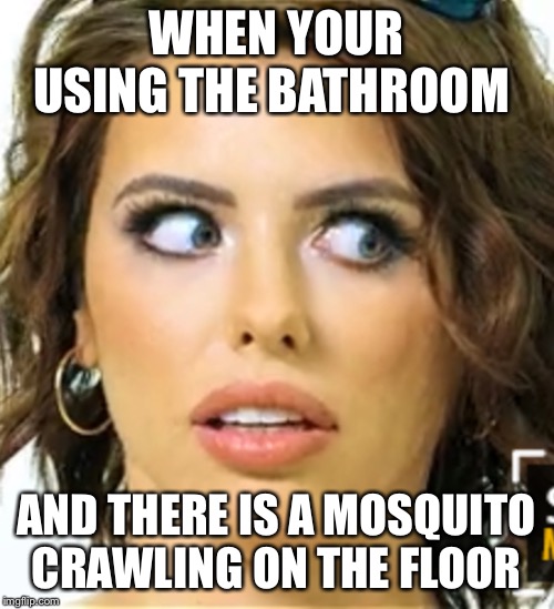 Freaking out like | WHEN YOUR USING THE BATHROOM; AND THERE IS A MOSQUITO CRAWLING ON THE FLOOR | image tagged in freaking out | made w/ Imgflip meme maker