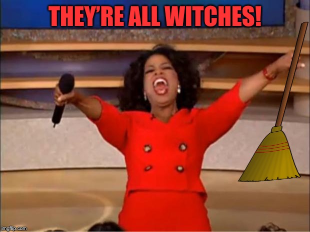 Oprah You Get A Meme | THEY’RE ALL WITCHES! | image tagged in memes,oprah you get a | made w/ Imgflip meme maker