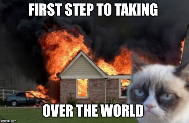 Burn Kitty | FIRST STEP TO TAKING; OVER THE WORLD | image tagged in memes,burn kitty,grumpy cat | made w/ Imgflip meme maker