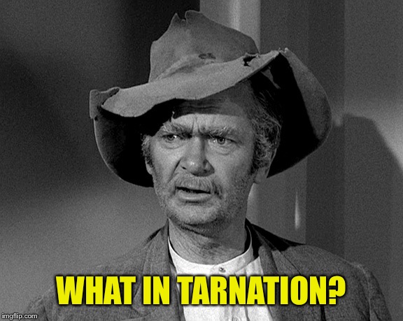 Jed Clampett | WHAT IN TARNATION? | image tagged in jed clampett | made w/ Imgflip meme maker
