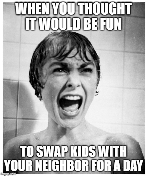 Psycho Shower | WHEN YOU THOUGHT IT WOULD BE FUN; TO SWAP KIDS WITH YOUR NEIGHBOR FOR A DAY | image tagged in psycho shower | made w/ Imgflip meme maker