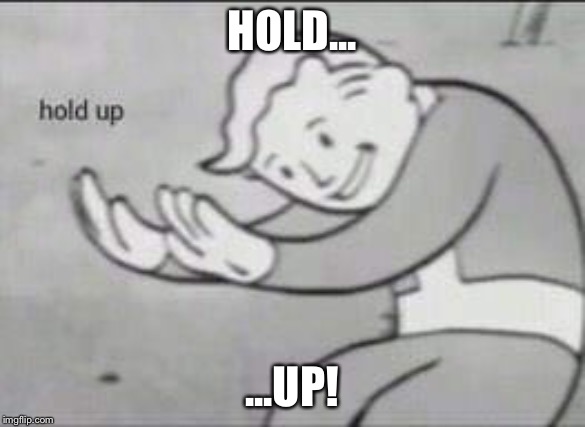 Fallout Hold Up | HOLD... ...UP! | image tagged in fallout hold up | made w/ Imgflip meme maker