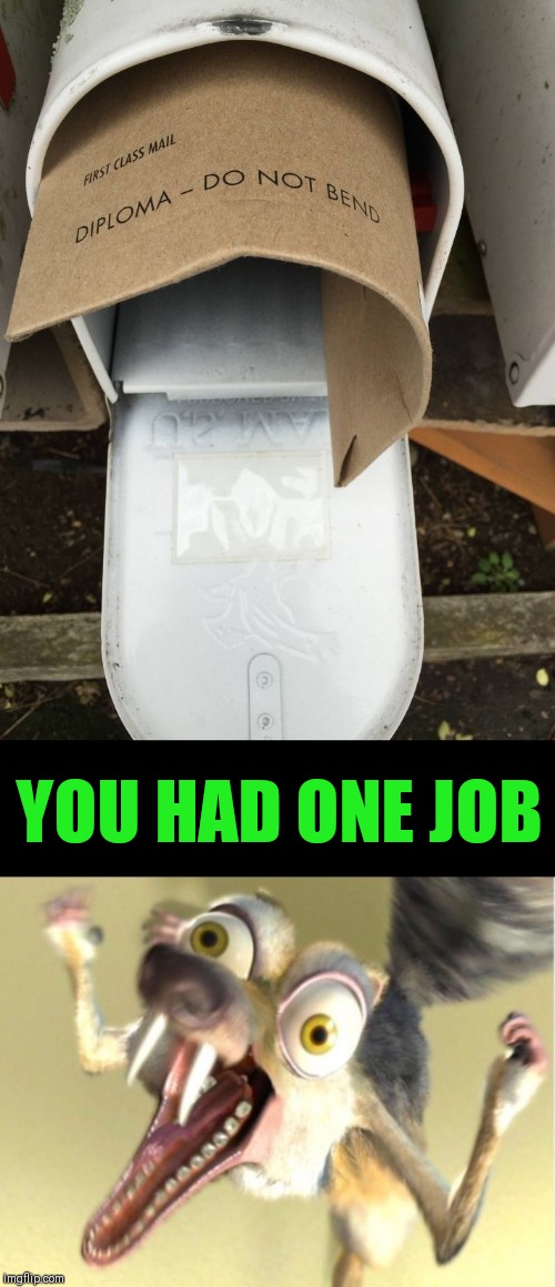 You had... |  YOU HAD ONE JOB | image tagged in overreacting squirrel,mailman,44colt,post office,graduation,ice age | made w/ Imgflip meme maker