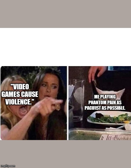 Lady screams at cat | "VIDEO GAMES CAUSE VIOLENCE."; ME PLAYING PHANTOM PAIN AS PACIFIST AS POSSIBLE. | image tagged in lady screams at cat | made w/ Imgflip meme maker