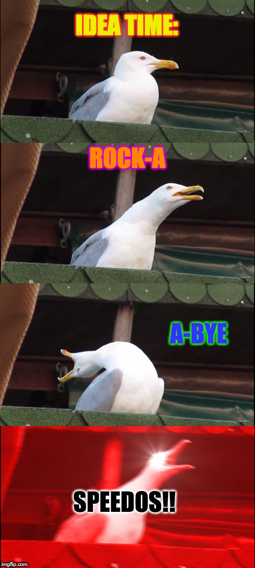 Inhaling Seagull | IDEA TIME:; ROCK-A; A-BYE; SPEEDOS!! | image tagged in memes,inhaling seagull | made w/ Imgflip meme maker