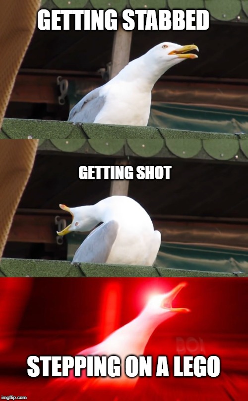 Inhaling seagull | GETTING STABBED; GETTING SHOT; STEPPING ON A LEGO | image tagged in inhaling seagull | made w/ Imgflip meme maker