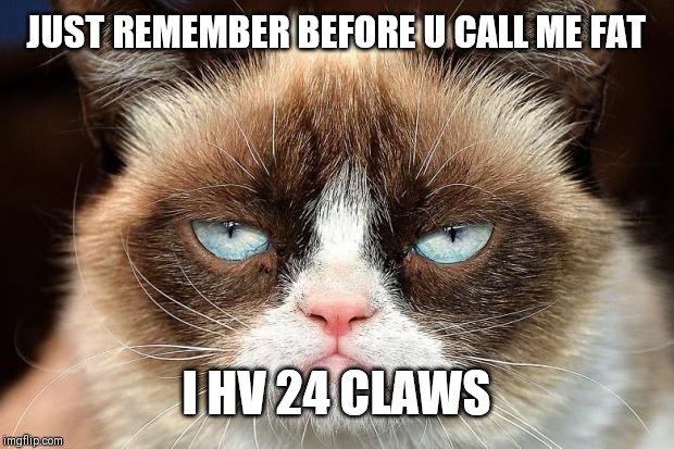 Grumpy Cat Not Amused Meme | JUST REMEMBER BEFORE U CALL ME FAT; I HV 24 CLAWS | image tagged in memes,grumpy cat not amused,grumpy cat | made w/ Imgflip meme maker