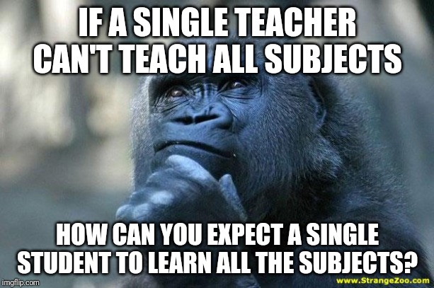 Deep Thoughts | IF A SINGLE TEACHER CAN'T TEACH ALL SUBJECTS; HOW CAN YOU EXPECT A SINGLE STUDENT TO LEARN ALL THE SUBJECTS? | image tagged in deep thoughts | made w/ Imgflip meme maker