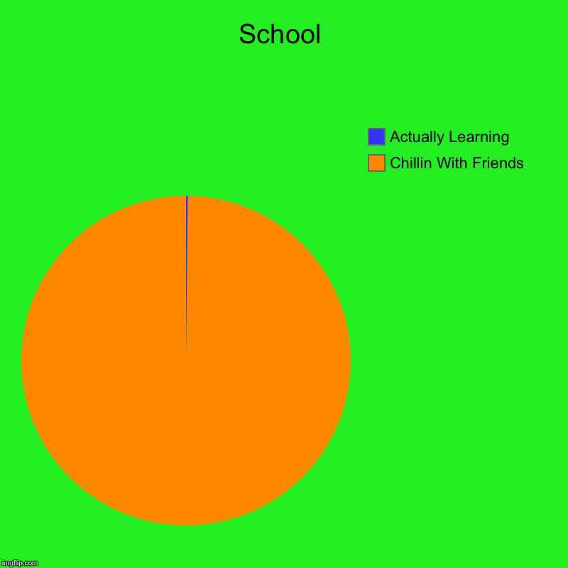School | Chillin With Friends, Actually Learning | image tagged in charts,pie charts | made w/ Imgflip chart maker