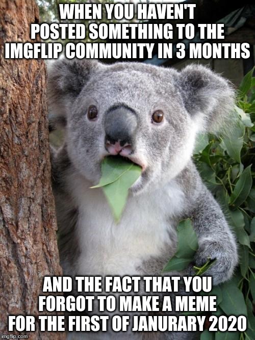 Surprised Koala Meme | WHEN YOU HAVEN'T POSTED SOMETHING TO THE IMGFLIP COMMUNITY IN 3 MONTHS; AND THE FACT THAT YOU FORGOT TO MAKE A MEME FOR THE FIRST OF JANURARY 2020 | image tagged in memes,surprised koala | made w/ Imgflip meme maker