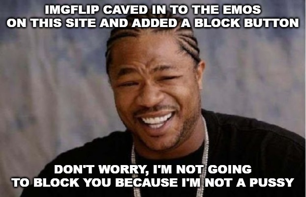 Yo Dawg Heard You Meme | IMGFLIP CAVED IN TO THE EMOS ON THIS SITE AND ADDED A BLOCK BUTTON; DON'T WORRY, I'M NOT GOING TO BLOCK YOU BECAUSE I'M NOT A PUSSY | image tagged in memes,yo dawg heard you,imgflip,block button | made w/ Imgflip meme maker
