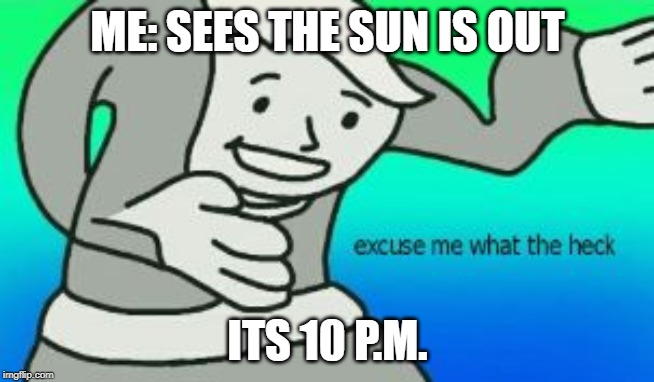 Excuse Me What The Heck | ME: SEES THE SUN IS OUT; ITS 10 P.M. | image tagged in excuse me what the heck | made w/ Imgflip meme maker