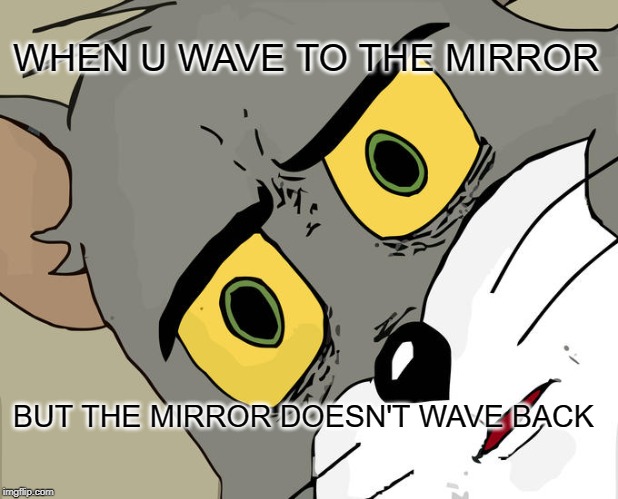 Unsettled Tom Meme | WHEN U WAVE TO THE MIRROR; BUT THE MIRROR DOESN'T WAVE BACK | image tagged in memes,unsettled tom | made w/ Imgflip meme maker