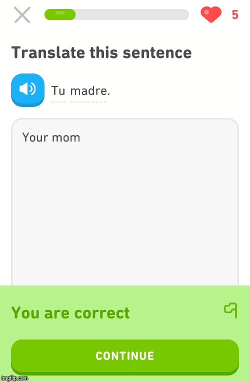 image tagged in your mom duolingo | made w/ Imgflip meme maker