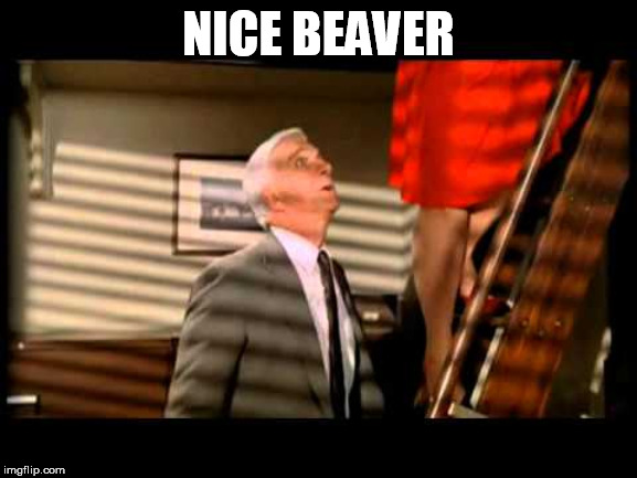 police squad nice beaver | NICE BEAVER | image tagged in police squad nice beaver | made w/ Imgflip meme maker