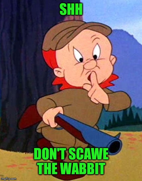 Elmer Fudd | SHH DON'T SCAWE THE WABBIT | image tagged in elmer fudd | made w/ Imgflip meme maker