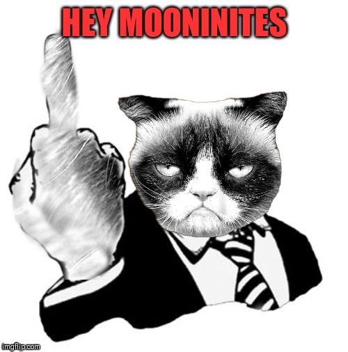 1950's Grumpy Middle Finger | HEY MOONINITES | image tagged in 1950's grumpy middle finger | made w/ Imgflip meme maker