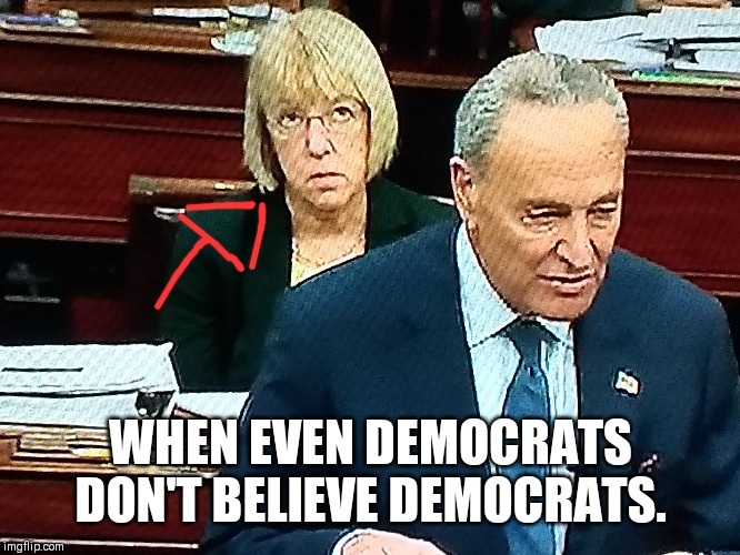 The Face You Make... | WHEN EVEN DEMOCRATS DON'T BELIEVE DEMOCRATS. | image tagged in politics | made w/ Imgflip meme maker