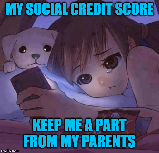 RESIST THE UPCOMING SOCIAL-CREDIT-SCORE SYSTEM! - Imgflip