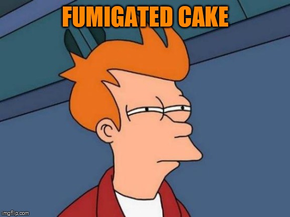 Futurama Fry Meme | FUMIGATED CAKE | image tagged in memes,futurama fry | made w/ Imgflip meme maker