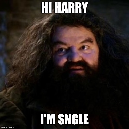 You're a wizard harry | HI HARRY; I'M SNGLE | image tagged in you're a wizard harry | made w/ Imgflip meme maker