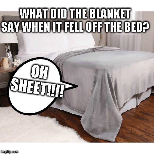 WHAT DID THE BLANKET SAY WHEN IT FELL OFF THE BED? OH SHEET!!!! | image tagged in shit,timesheet reminder | made w/ Imgflip meme maker