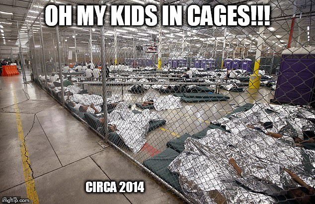 cages | OH MY KIDS IN CAGES!!! CIRCA 2014 | image tagged in cages | made w/ Imgflip meme maker