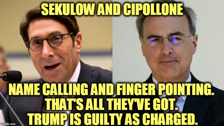 They're shooting blanks. Expensive blanks, but blanks. | SEKULOW AND CIPOLLONE; NAME CALLING AND FINGER POINTING. 
THAT'S ALL THEY'VE GOT. 
TRUMP IS GUILTY AS CHARGED. | image tagged in trump,lawyers,fail | made w/ Imgflip meme maker