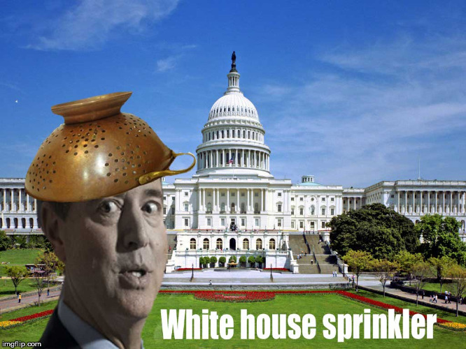 White House Sprinler | image tagged in memes | made w/ Imgflip meme maker