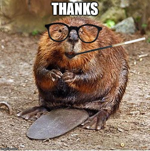 Pretentious Beaver | THANKS | image tagged in pretentious beaver | made w/ Imgflip meme maker