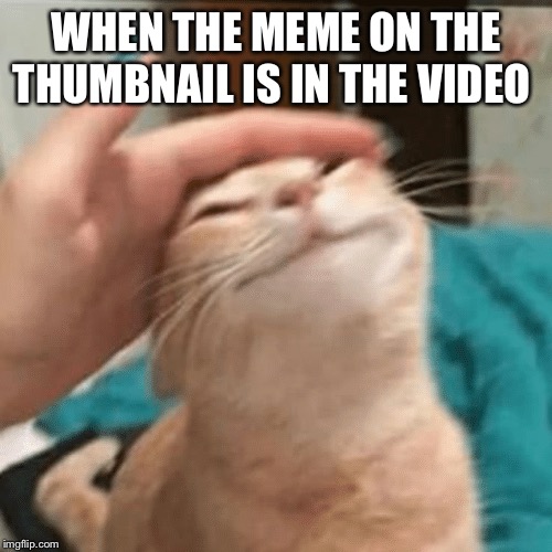 Cat Stroke | WHEN THE MEME ON THE THUMBNAIL IS IN THE VIDEO | image tagged in cat stroke | made w/ Imgflip meme maker