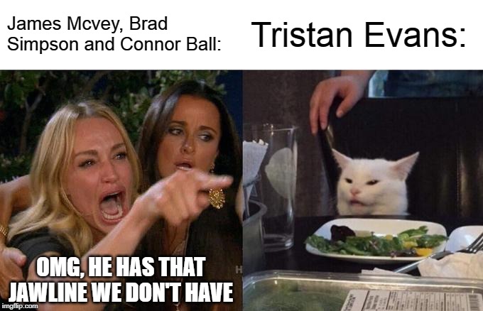 Woman Yelling At Cat | James Mcvey, Brad Simpson and Connor Ball:; Tristan Evans:; OMG, HE HAS THAT JAWLINE WE DON'T HAVE | image tagged in memes,woman yelling at cat | made w/ Imgflip meme maker