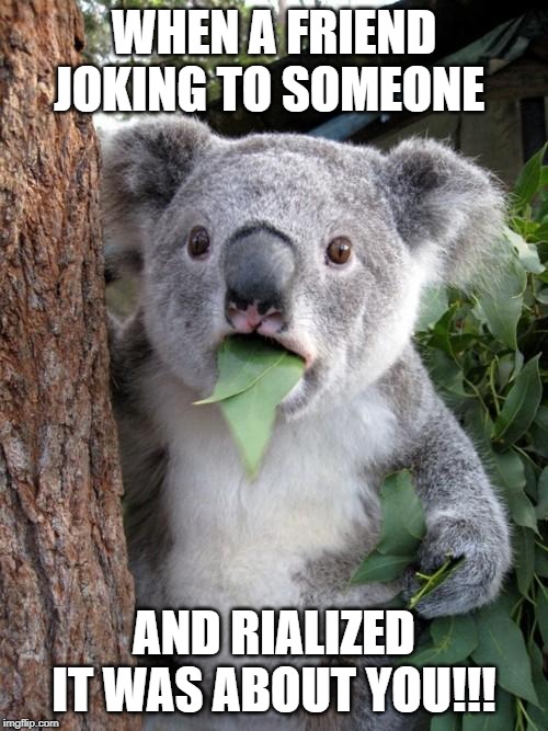 Surprised Koala Meme | WHEN A FRIEND JOKING TO SOMEONE; AND RIALIZED IT WAS ABOUT YOU!!! | image tagged in memes,surprised koala | made w/ Imgflip meme maker